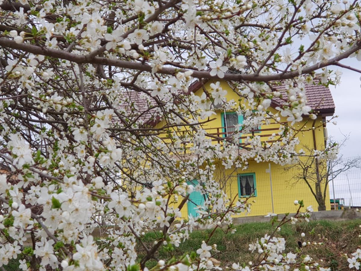 Pensiunea HAPPY Schitu Topolnitei Bagian luar foto